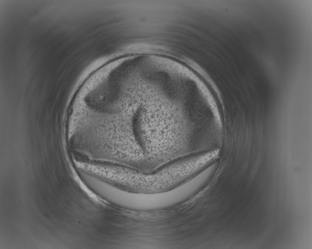 X0000080691437200701121713