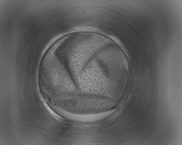 X0000080691438200701121713