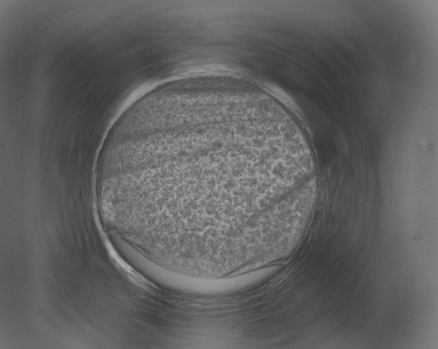 X0000080691439200701121713