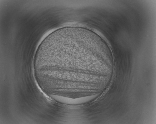 X0000080691440200701121713