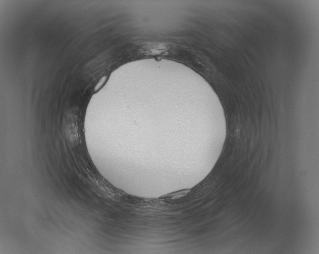 X0000080691442200701121713