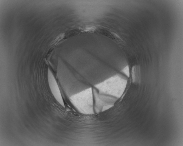 X0000080691443200701121713