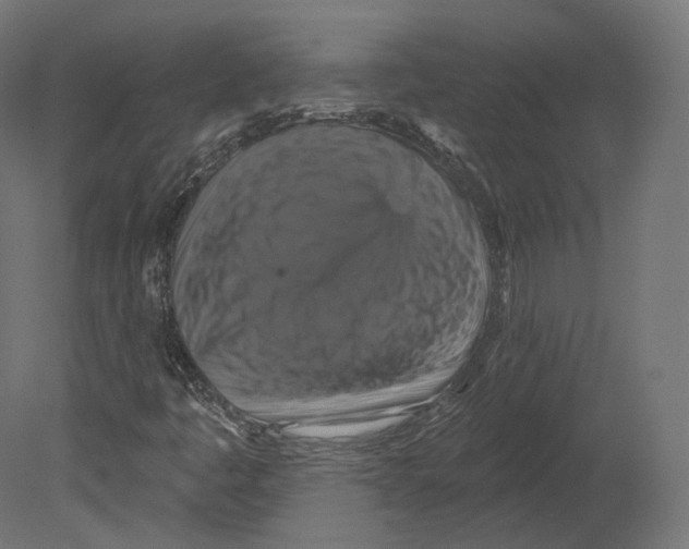 X0000080691445200701121712