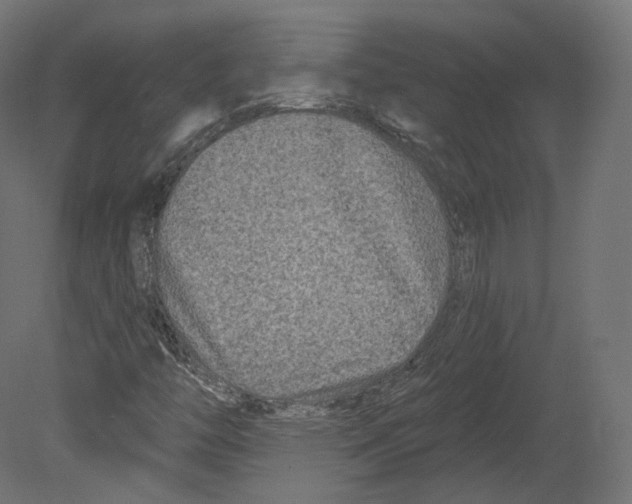 X0000080691446200701121712