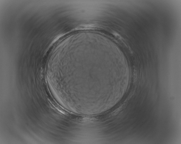 X0000080691449200701121712