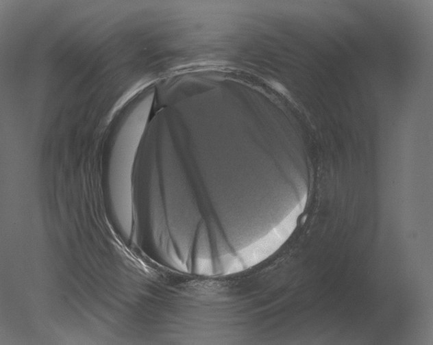 X0000080691450200701121712