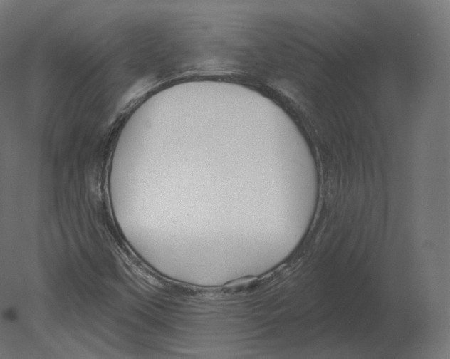 X0000080691451200701121712