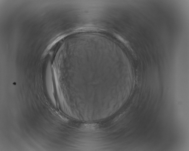 X0000080691453200701121712