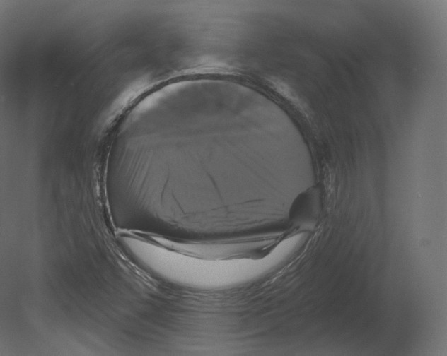 X0000080691455200701121712