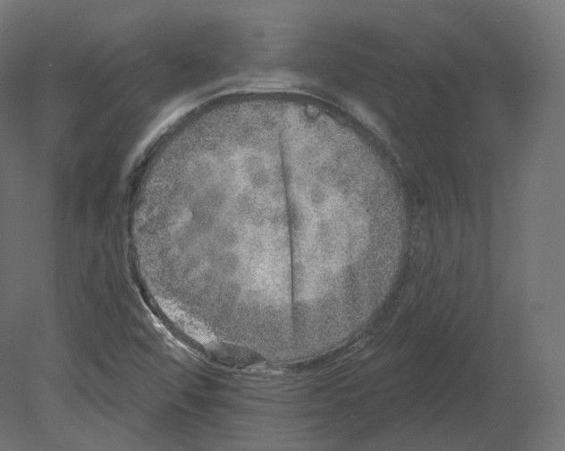 X0000080691456200701121712