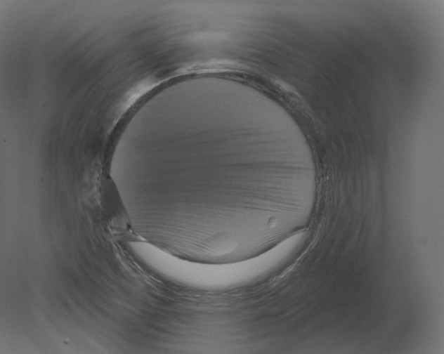 X0000080691457200701121712