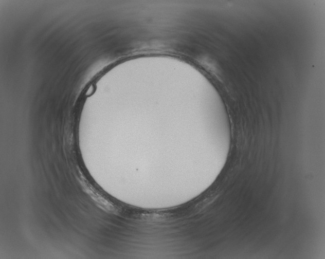 X0000080691458200701121712