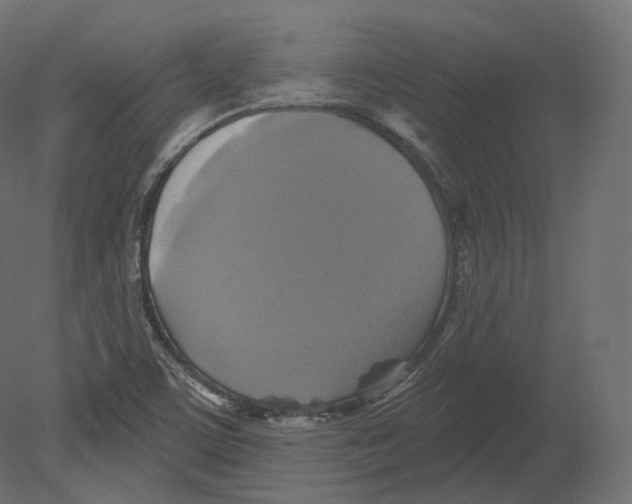 X0000080691459200701121712