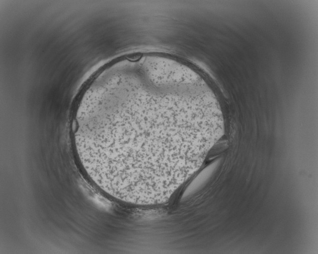 X0000080691460200701121712