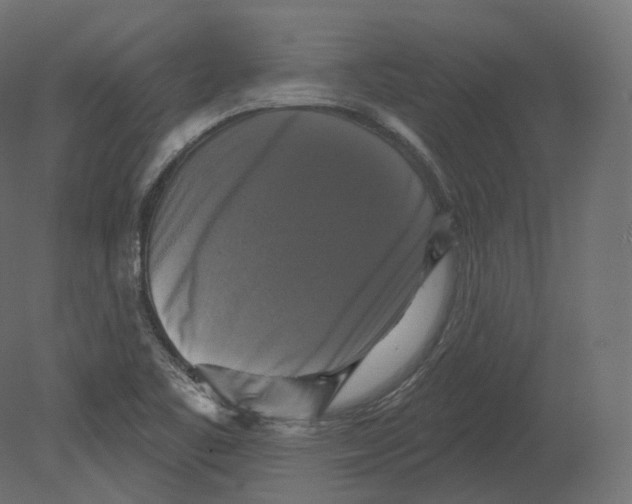 X0000080691461200701121712