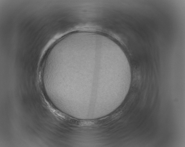 X0000080691462200701121712