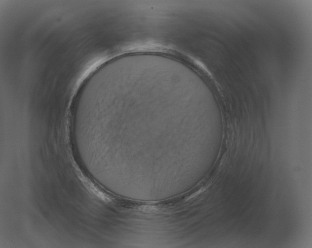 X0000080691463200701121712