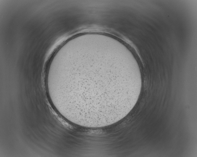 X0000080691464200701121712