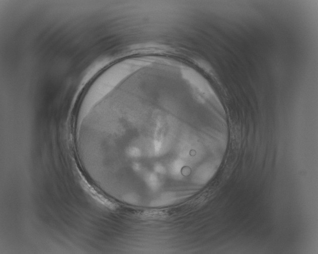 X0000080691466200701121712