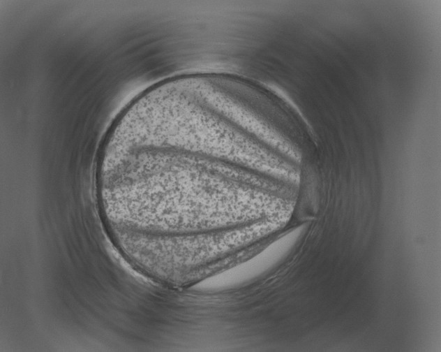 X0000080691468200701121712