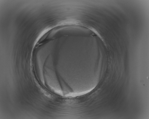 X0000080691469200701121712