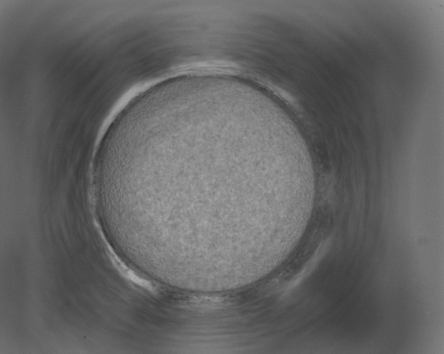 X0000080691470200701121712