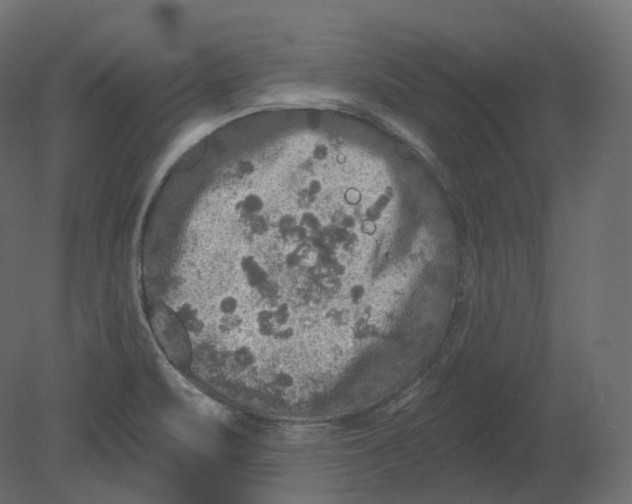 X0000080691471200701121712