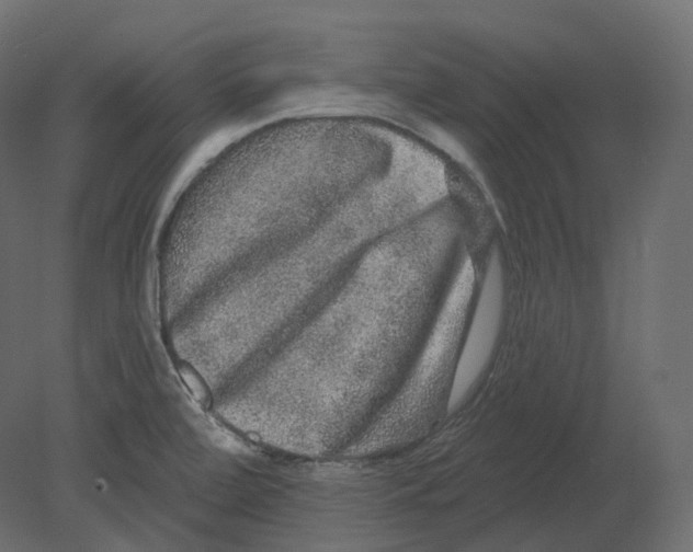 X0000080691472200701121712