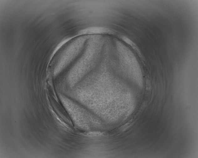 X0000080691473200701121712