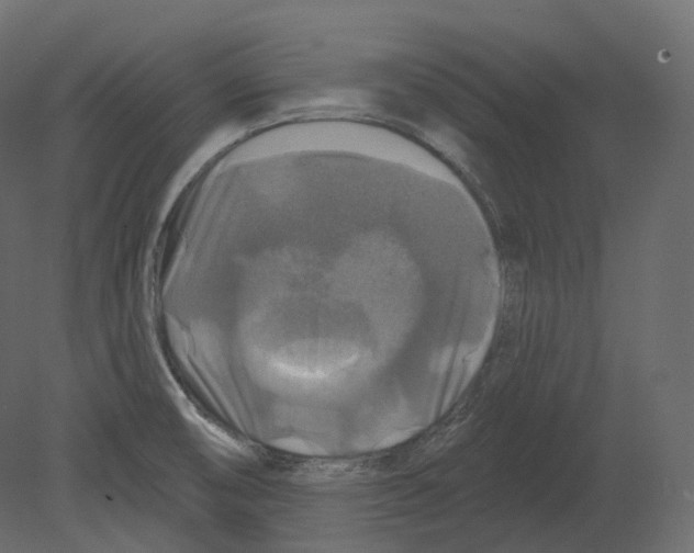 X0000080691474200701121712