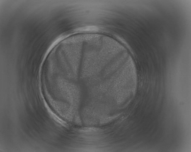 X0000080691475200701121712