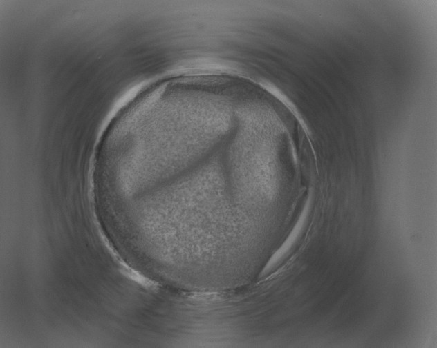 X0000080691477200701121712