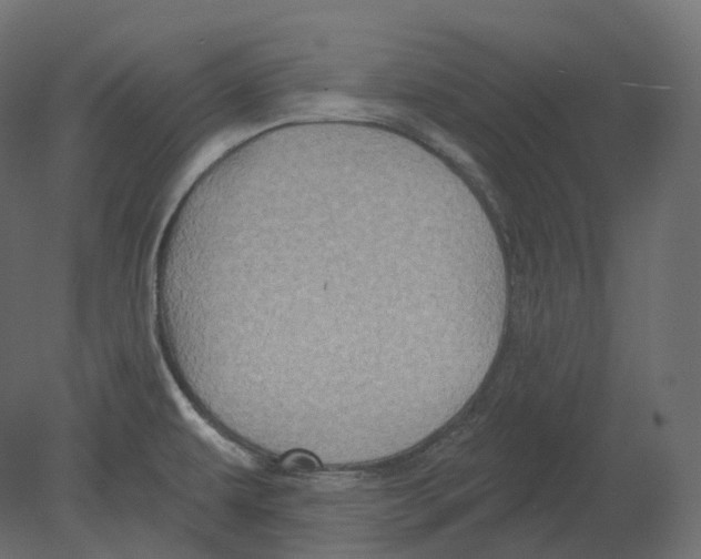 X0000080691479200701121712