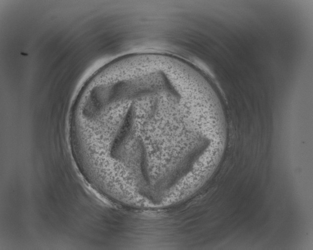 X0000080691480200701121712