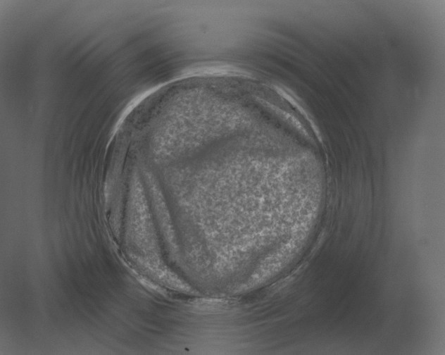 X0000080691481200701121712