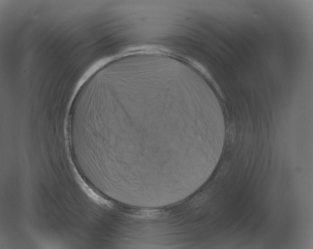 X0000080691482200701121712