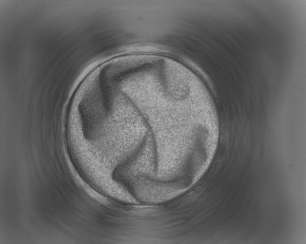 X0000080691483200701121712