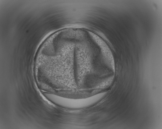 X0000080691484200701121712