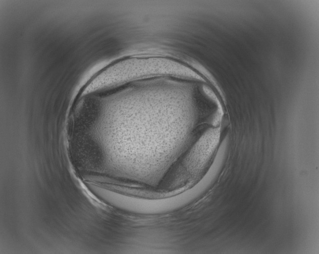 X0000080691485200701121712