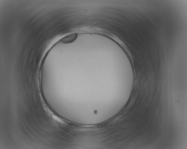 X0000080691486200701121712