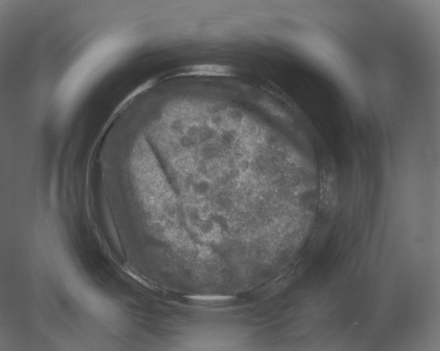 X0000080691487200701121712