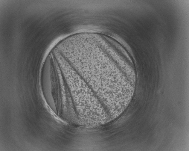 X0000080691488200701121712