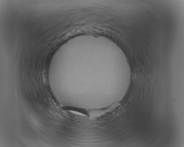 X0000080691490200701121711