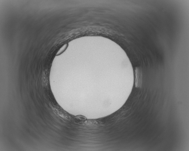 X0000080691491200701121711