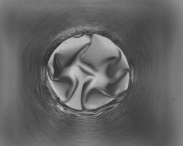 X0000080691492200701121711