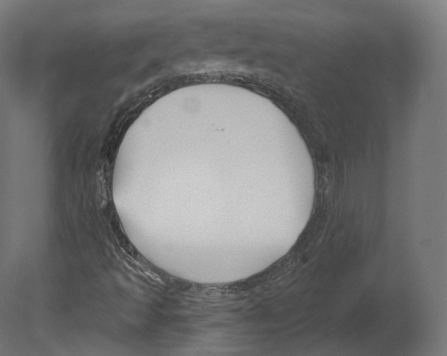 X0000080691493200701121711