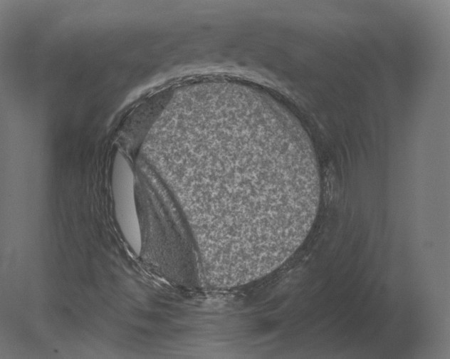 X0000080691494200701121711