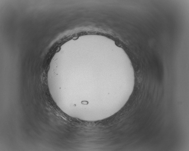 X0000080691495200701121711