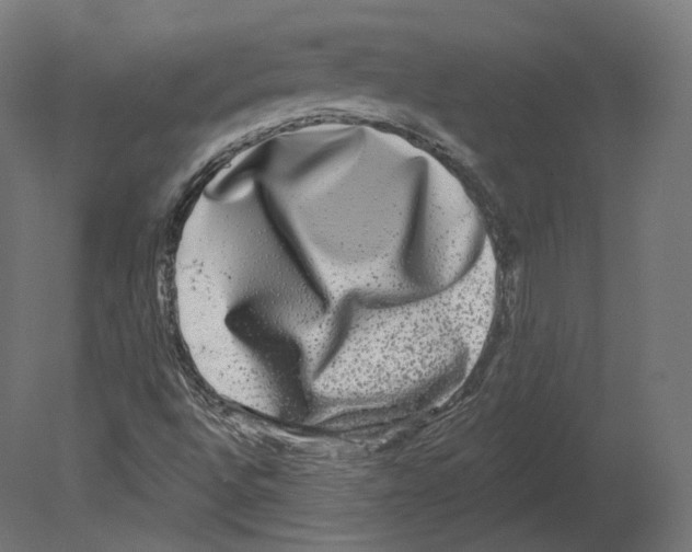 X0000080691496200701121711