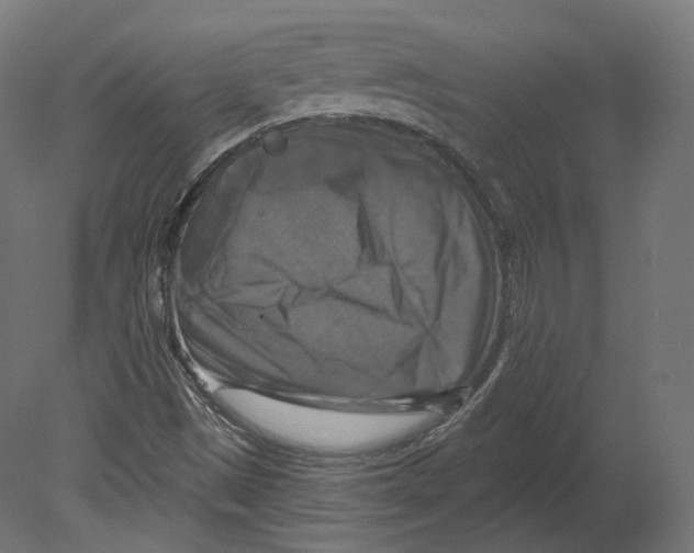 X0000080691497200701121711